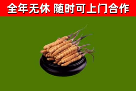 长子县烟酒回收冬虫夏草.jpg